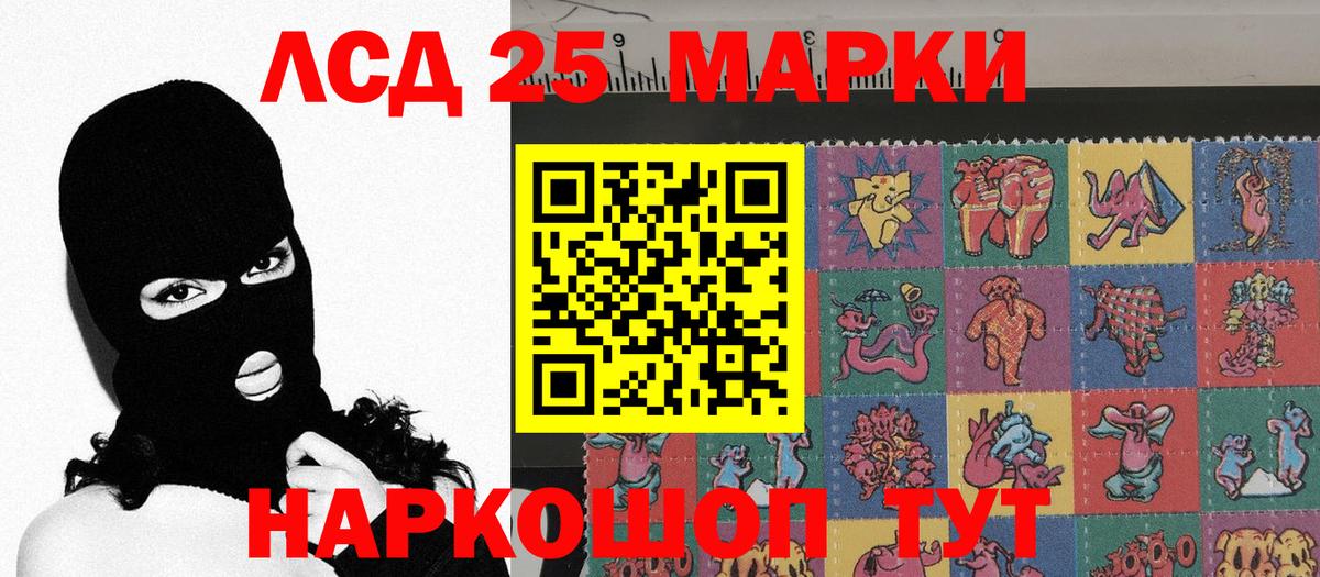 Псилоцибиновые грибы Балашов