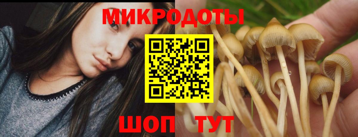 Галлюциногенные грибы мицелий  Вход с VPN  Балашов 