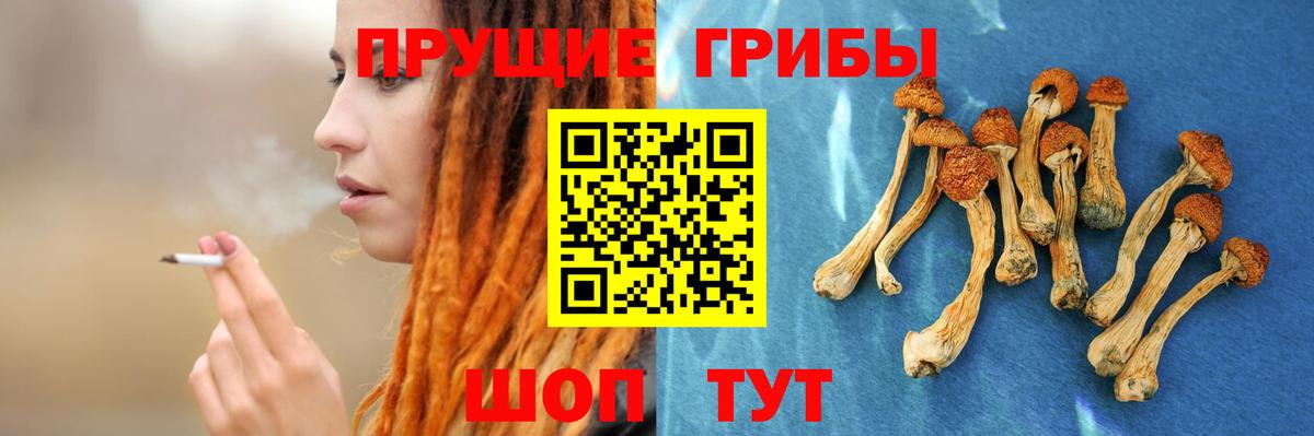 Галлюциногенные грибы мицелий Балашов